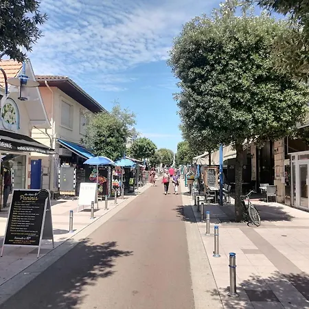 Les Goelands Feriehus *