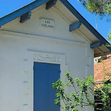 Les Goelands