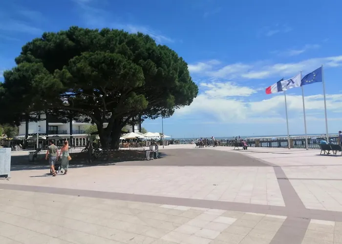 Feriehus Les Goelands