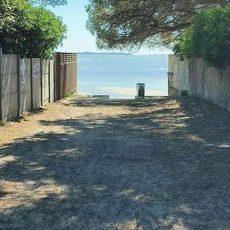 Les Goëlands 6 Personnes à 50 M De La *